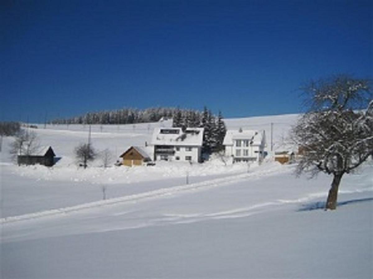 Haus Janssen-Wehrle Apartment Titisee-Neustadt Exterior foto