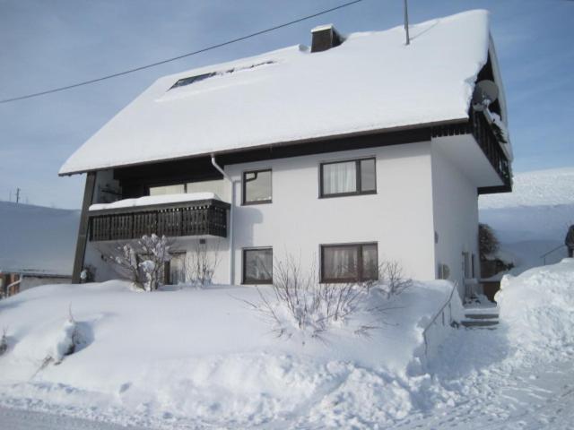 Haus Janssen-Wehrle Apartment Titisee-Neustadt Exterior foto